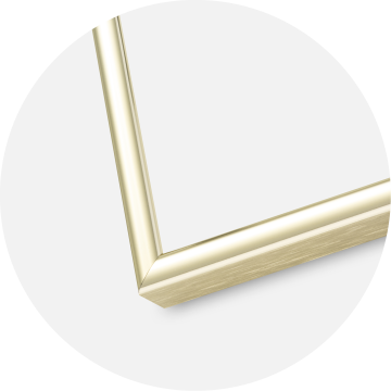 Ramme Nielsen Premium Classic Guld 40x40 cm