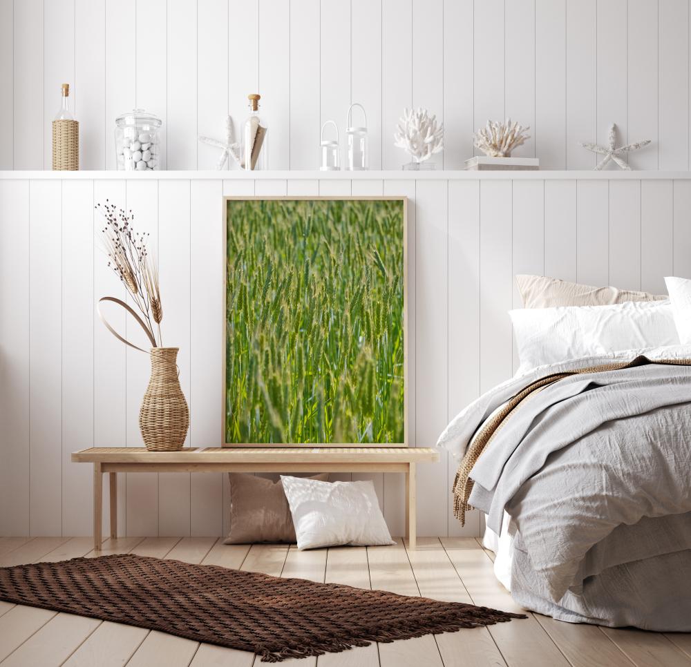 Green Wheat Field Plakat