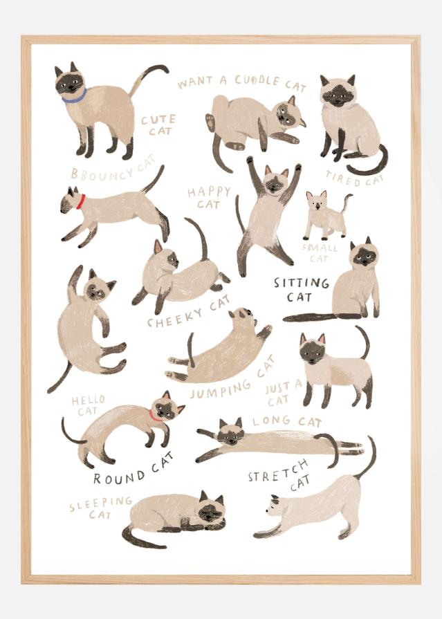 Siamese Cat Print Plakat