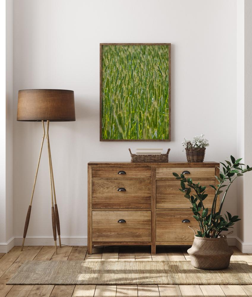 Green Wheat Field Plakat