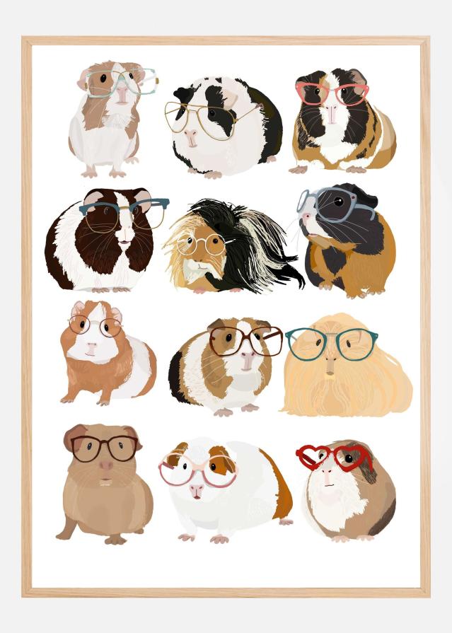 Guinea Pig in Glasses Plakat